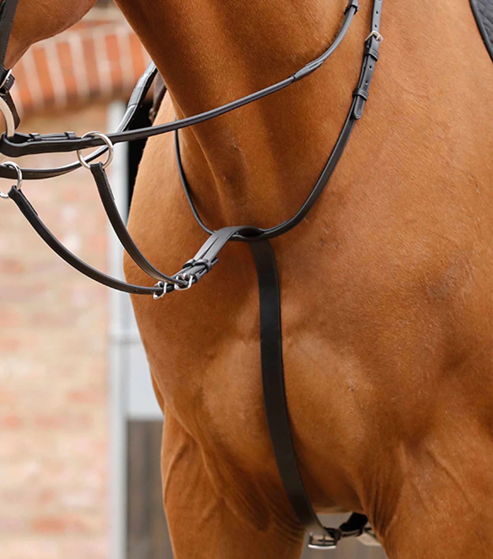 PREMIER EQUINE Ayarlanabilir Koşu Martingale Siyah