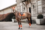 KENTUCKY Eyer Altlığı Kadife Zıplama Amaçlı -- Turuncu - Image 6