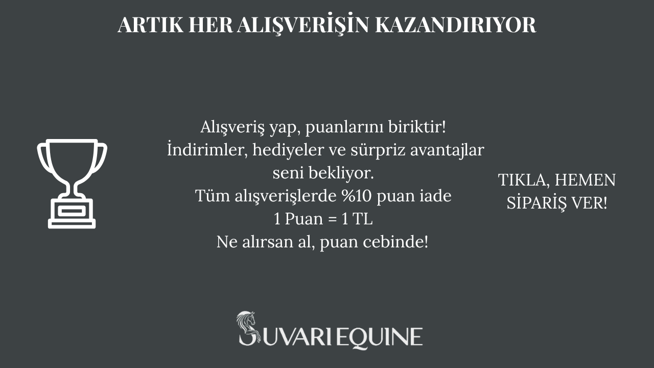 Adsız tasarım